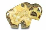Calcite-Filled Polished Septarian Bison - Utah #264596-1